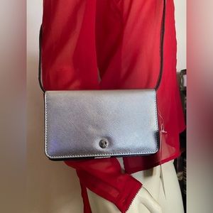 Nine West Silver bag.
